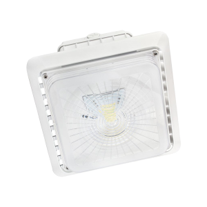 LED Canopy Light and Garage Lighting 55W 5000K 6416 Lumens