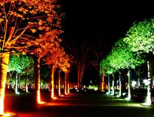 Landscape RGB 12VDC Spot Light 12W 1200Lm IP67